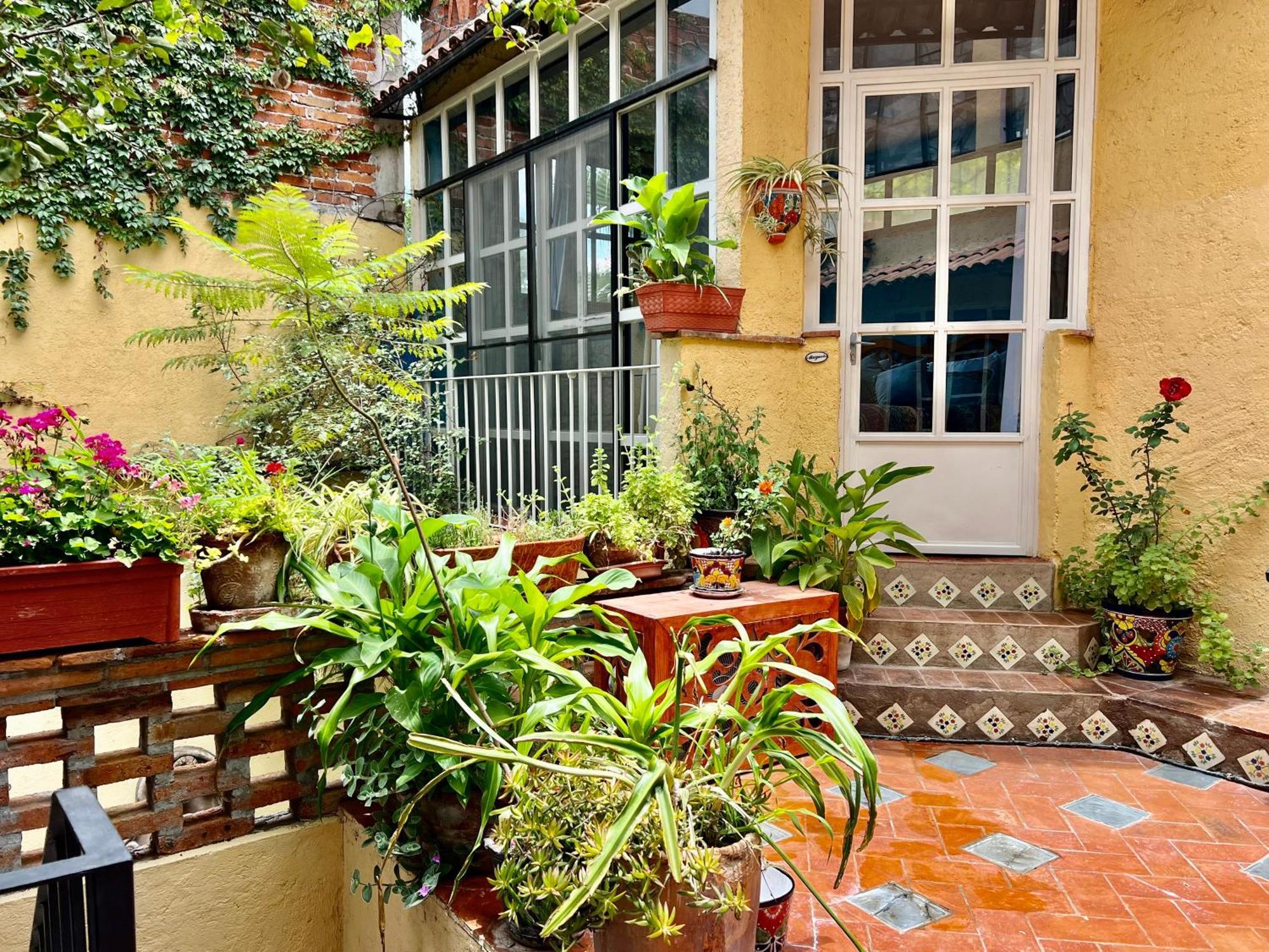 Boutique Hotel Casa Camellia San Miguel de Allende Exterior photo