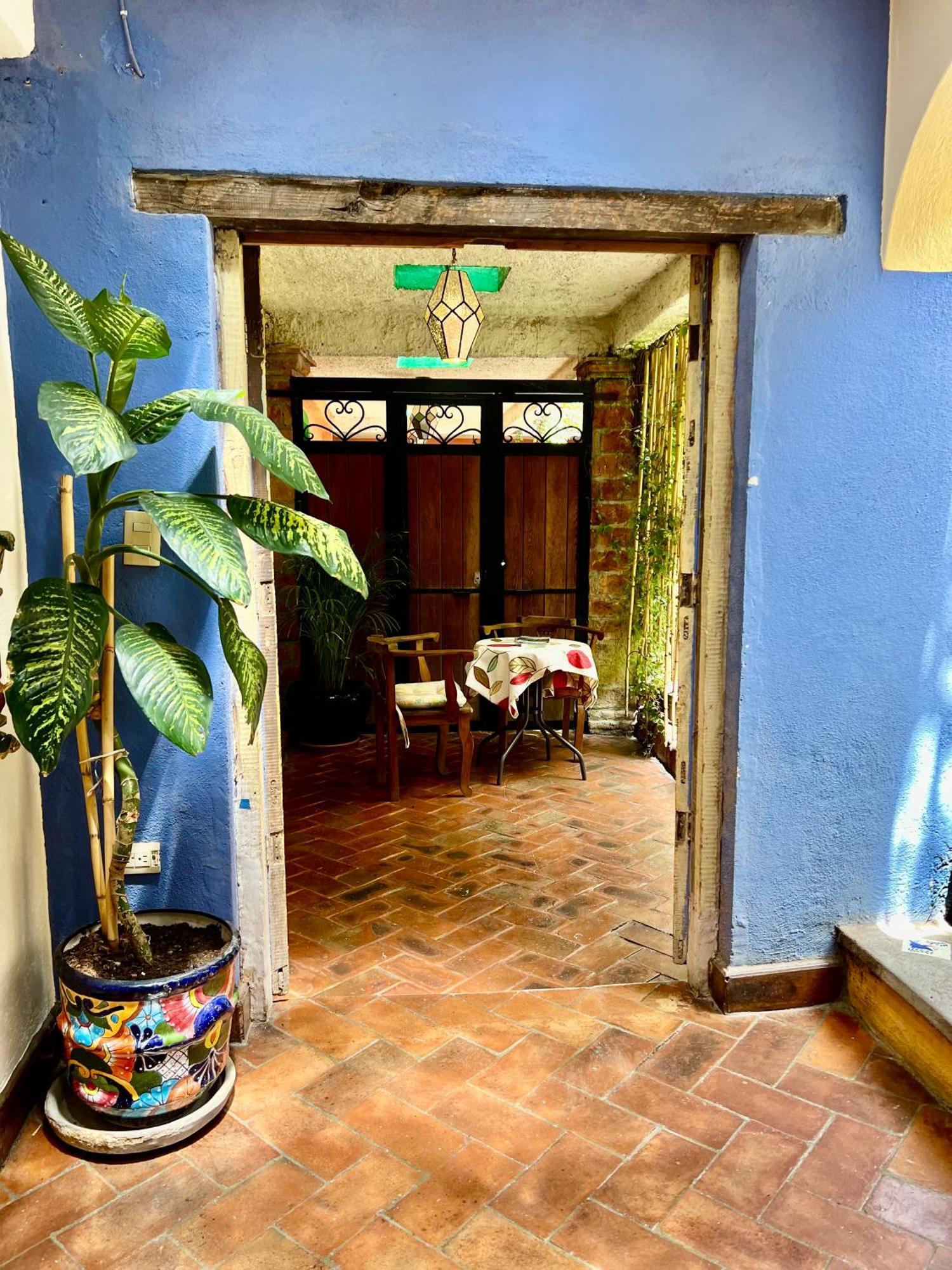 Boutique Hotel Casa Camellia San Miguel de Allende Exterior photo